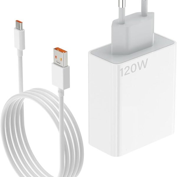 Punjac 120W + USB C